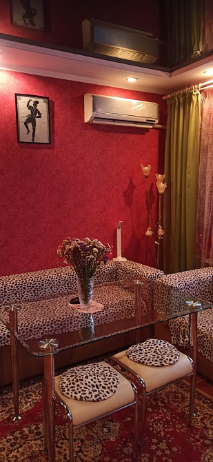 Затишна квартира Карнаухівка(Дніпропетровська обл.) - зображення 1