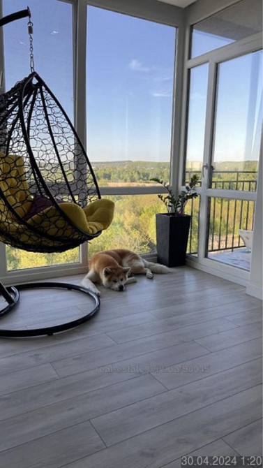 Продаж 2-к квартири з кухнею-студією, ЖК Плюс Девелопмент, Роксоляни Львов - изображение 3