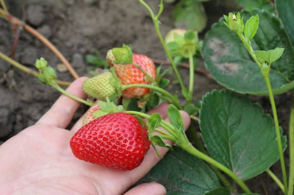 Продам квартиру в хорошому місці  - зображення 3