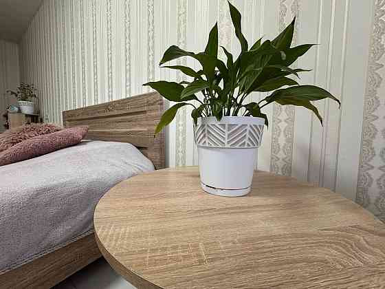 ПРОГРАМИ - ТАК! Податки 2%! Затишна квартира в Ірпені! Ирпень