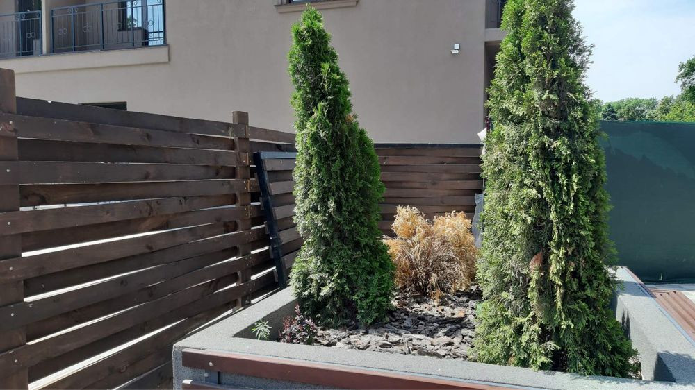 Акропіль-1 2 кім по самій вигідній ціні. Одеса - зображення 4