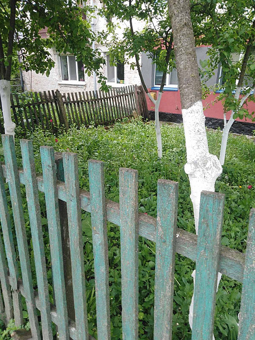 Продам квартиру разом з гараж,погріб, хлів, город, садок та грядка Казатин (город, Винницкая обл.) - изображение 3