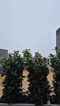 Продам 2х комнатную в центре. Гимназическая. Малая Арнаутская. Одеса