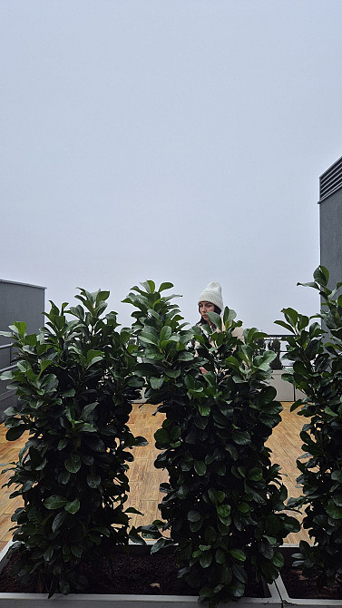 Продам 2х комнатную в центре. Гимназическая. Малая Арнаутская. Одеса - зображення 6