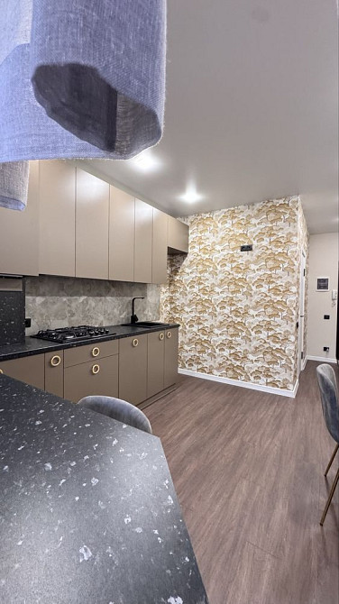 Власник ,р-н Озерна . Хмельницький - зображення 3