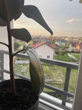 Продаж 2х к квартири з ремонтом в новобудові Львів! Львов