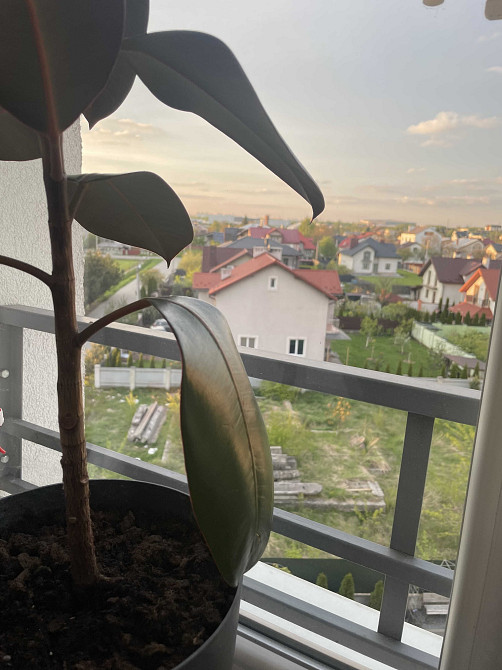 Продаж 2х к квартири з ремонтом в новобудові Львів! Львів - зображення 6