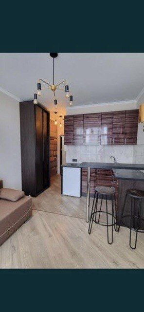 Смарт 23м  Місто Квітів метро Сирець пішки власник Київ - зображення 3