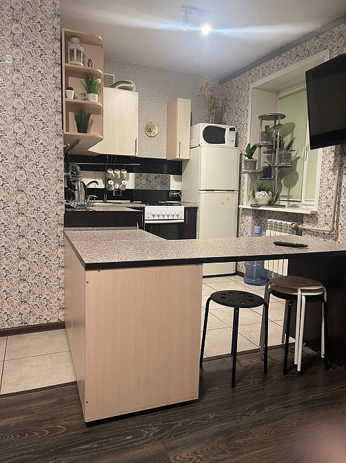 Оренда однокімнатної квартири у Дніпровському р-ні (Дудыкіна 21) Запорожье - изображение 7