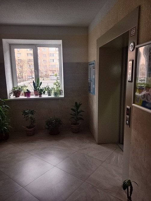 Продается однокомнатная квартира по ул. Петлюры Стайки - изображение 4