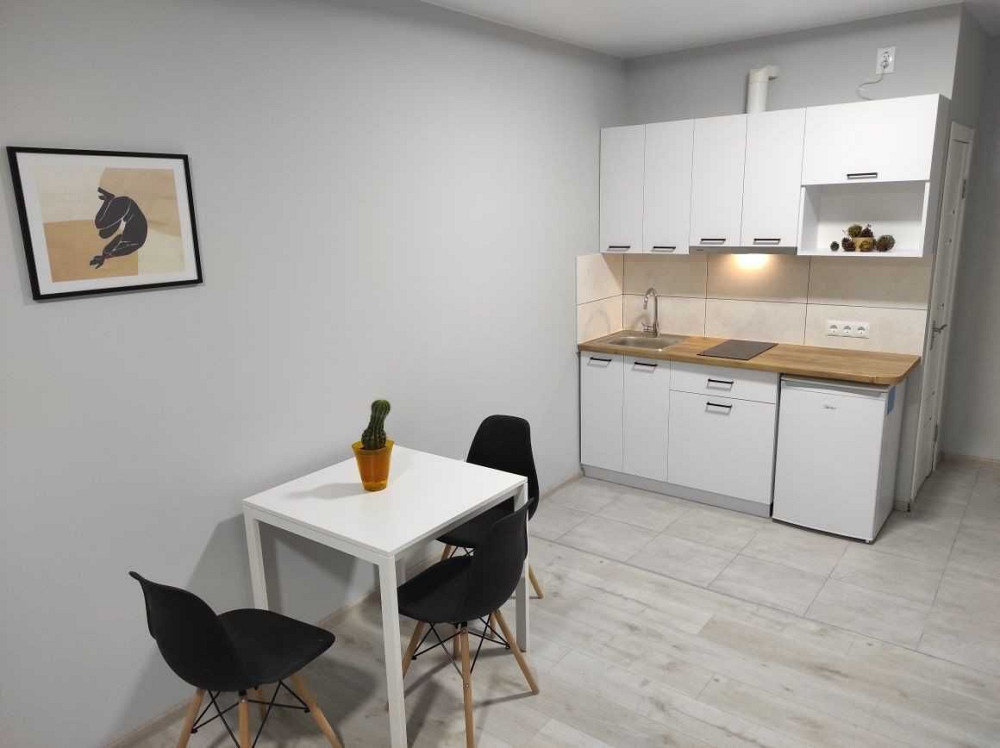 Оренда 1-но кім. квартири по вул. Кульпарківська Львів - зображення 2