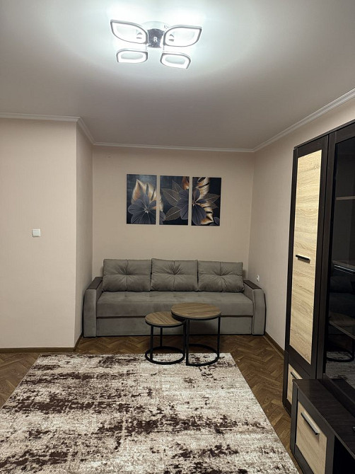 Аренда 1 комнатная квартира от хозяина без комиссии. Безопасный район Кривой Рог - изображение 2