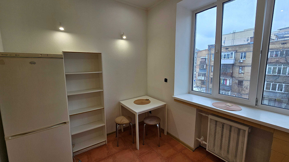 Печерськ. Бтанічний сад. Бастіонна. Київ - зображення 3