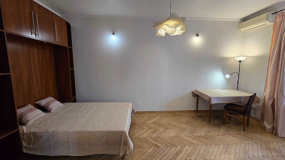 Печерськ. Бтанічний сад. Бастіонна. Київ - зображення 4