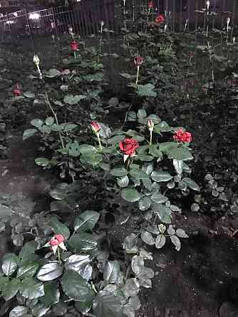 Продам  2 ком. квартиру в элитном , новом доме. Еоселя, Постановы. Одесса