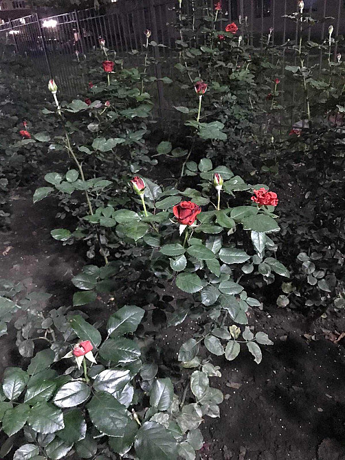 Продам  2 ком. квартиру в элитном , новом доме. Еоселя, Постановы. Одесса - изображение 2