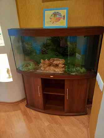 Оренда 3-и кімнатної квартири в ЖК"Голосіїво" Київ