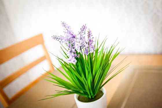 Оренда 1к з ГАЗОВИМ КОТЛОМ І ПЛИТОЮ ЖК Британський Квартал Київ