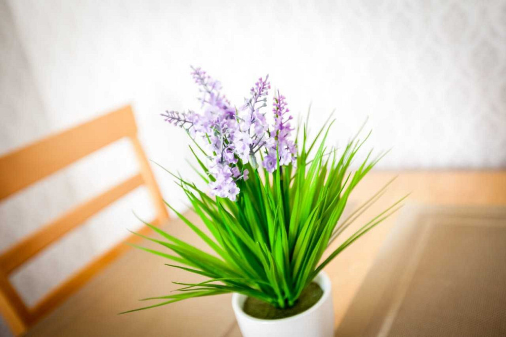 Оренда 1к з ГАЗОВИМ КОТЛОМ І ПЛИТОЮ ЖК Британський Квартал Київ - зображення 6