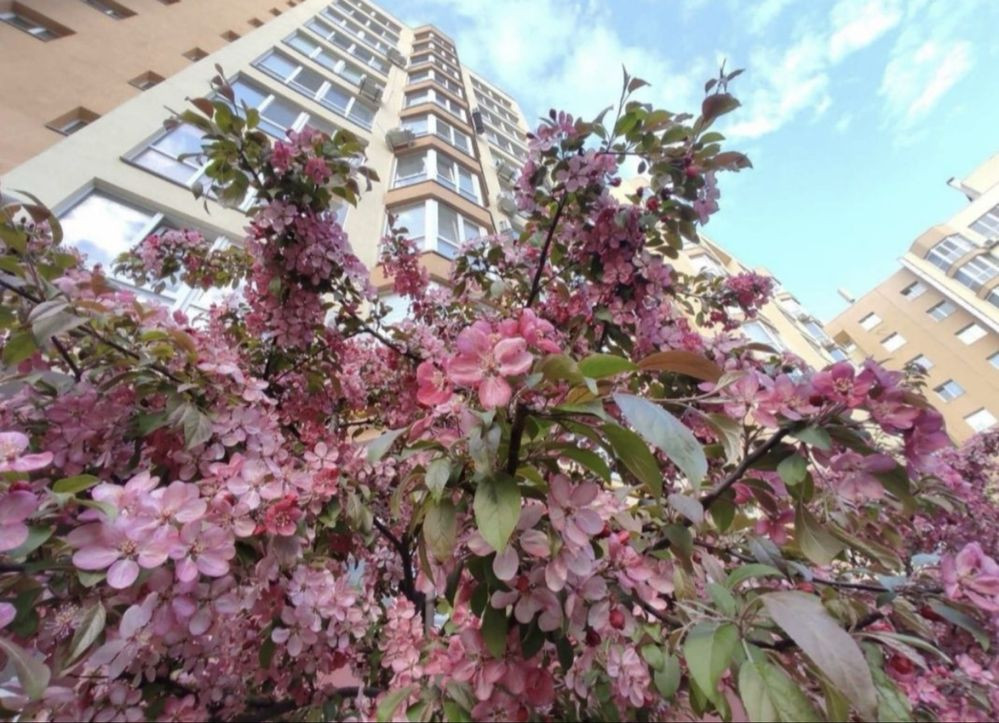 ‼️Єркерная43м2 С перепланировкой в Євродвушку 40,000$ С Документами Софіївська Борщагівка - зображення 1