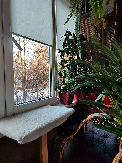 Продам 2к ул.Соборности ( Доценко) Раздельные комнаты Чернігів - зображення 7