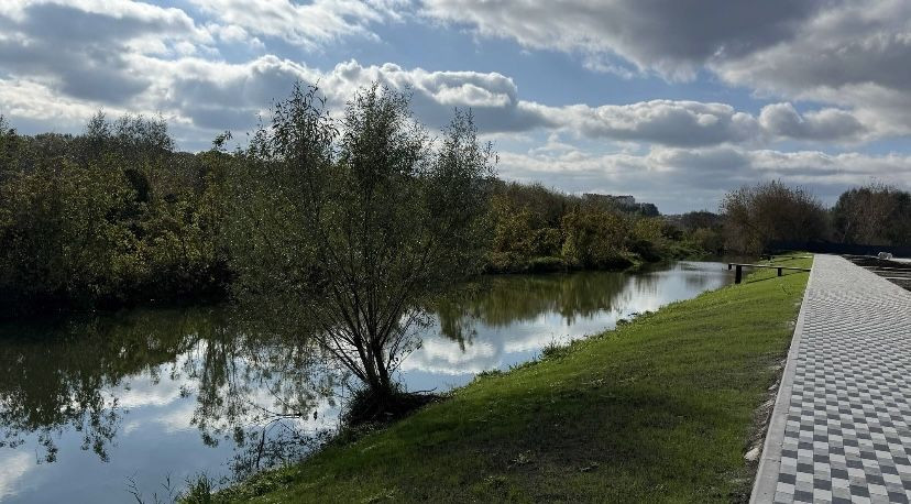 Продаж квартири Є ОСЕЛЯ  Буча Гостомель ЖК Сенсація Без % Гостомель - зображення 6