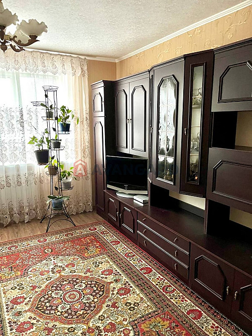 Здам в оренду затишну квартиру Кам`янське (Запорізька обл.) - зображення 5