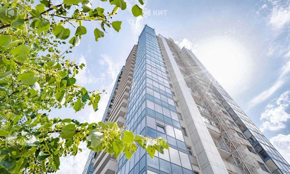 4к. 184м2, Центр (ЖК Пионер, Сумской рынок, м. Научная) 127296 Харків - зображення 3