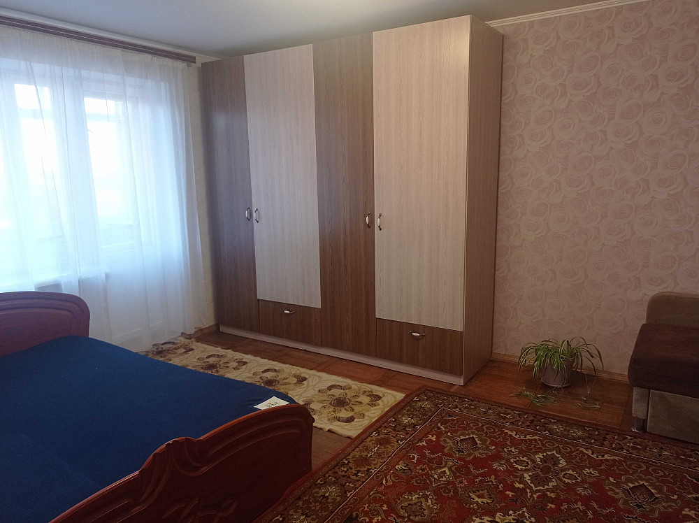 Здам в оренду однокімнатну квартиру. Луцк - изображение 1