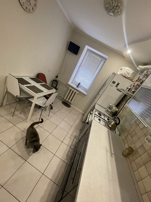 Оренда 3 кватири,рн Соборна площа.Світло не вимикають! Черкаси - зображення 2