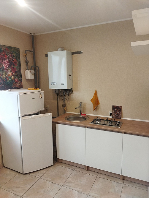 Однокімнатна квартира Центральний парк Ирпень - изображение 3