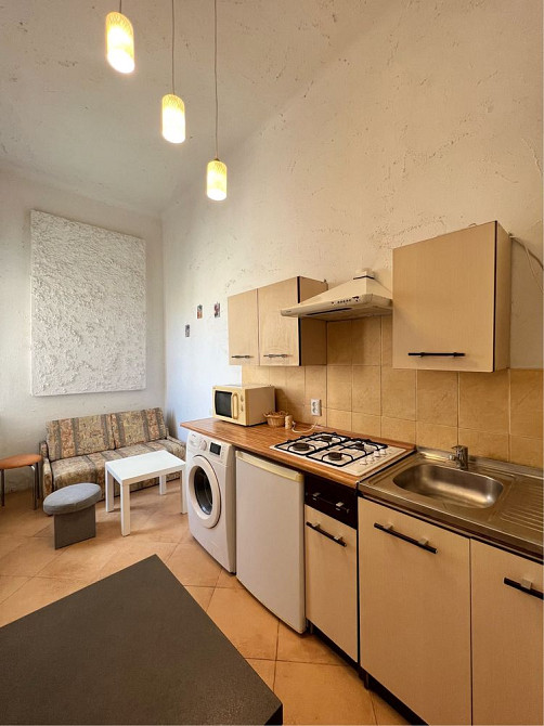 Оренда 1-но кімнатної квартири по вулиці Костя Левицького (початок) Львов - изображение 5