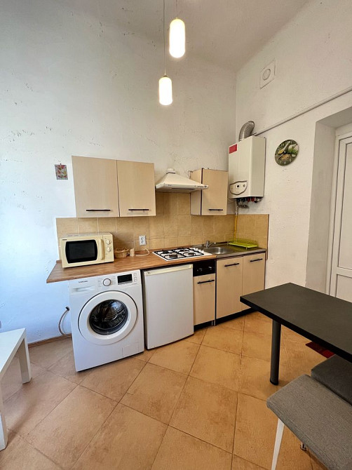 Оренда 1-но кімнатної квартири по вулиці Костя Левицького (початок) Львов - изображение 4