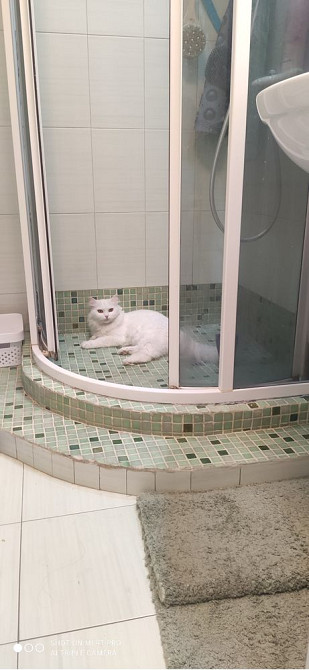 Квартира на Адміральському 3 кімнати Одеса - зображення 7