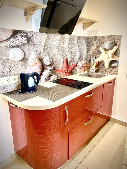 Однокімнатна сучасна від власника. Киев - изображение 5