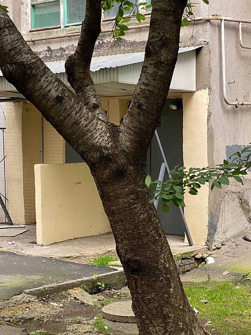 Сдам трехкомнатную квартиру в теплом кирпичном доме на Черемушках Одеса - зображення 6