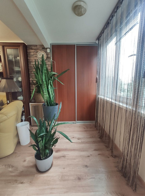 Здається 1к.кв.- студія Бердичев - изображение 4