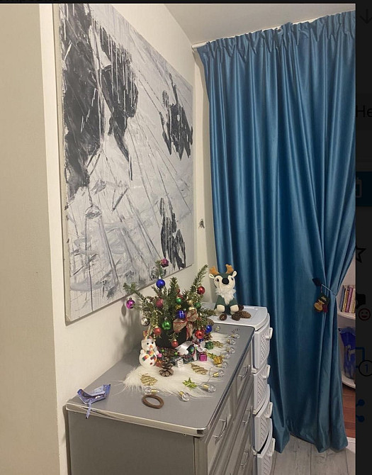 1 кімнатна квартира, в. Капушанська Ужгород - изображение 4