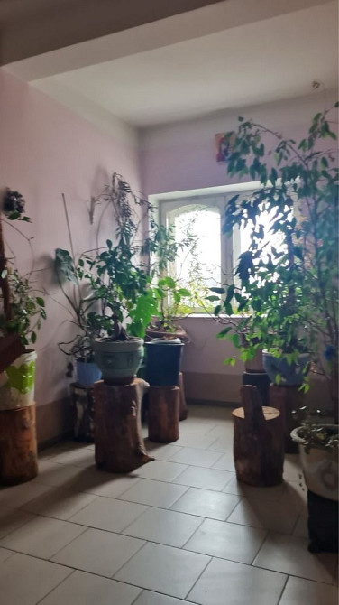 Супер унікальна пропозиція ! Белая Церковь - изображение 8