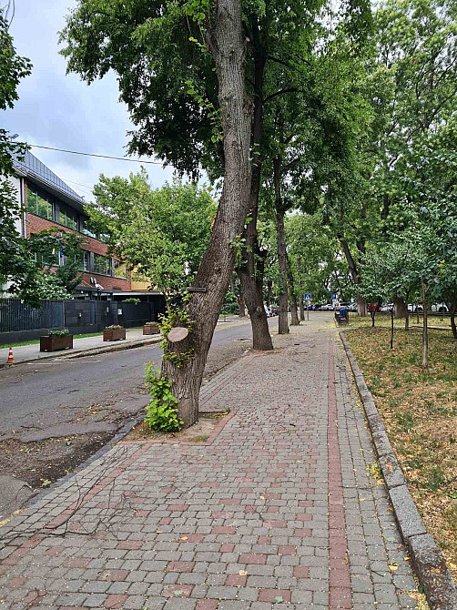 Продається  велика 1 на кв-ра у Новобудові поблизу площі Петефі та Наб Ужгород - зображення 4