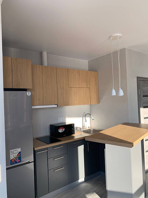 Оренда однокімнатної квартири ЖК Нивки-парк. Генератор. Перша здача Київ - зображення 1