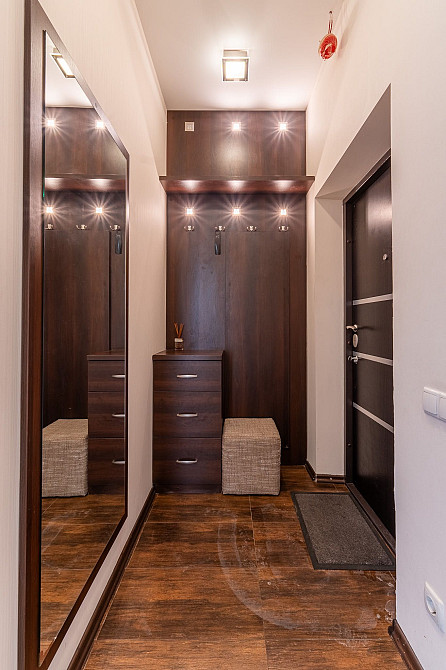 Оренда 1к квартири Новопечерські Липки (Новопечерские Липки) Київ - зображення 7