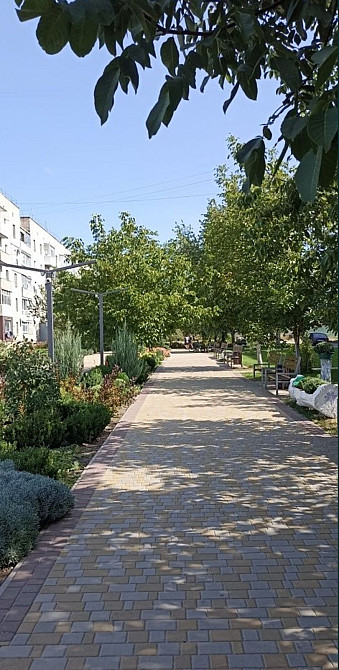 Квартира под ремонт Ревовка Светловодск - изображение 5