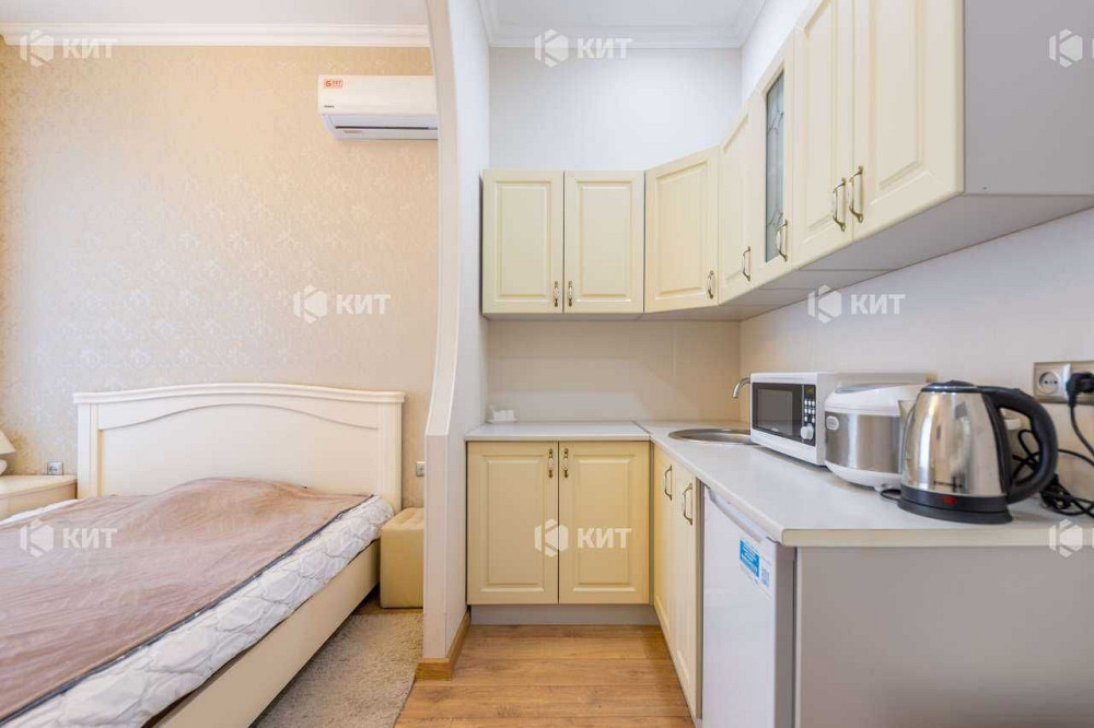 Апартаменти 188м2 Центр ( Центр, Университет, Сумская 46) 123486 Харків - зображення 8