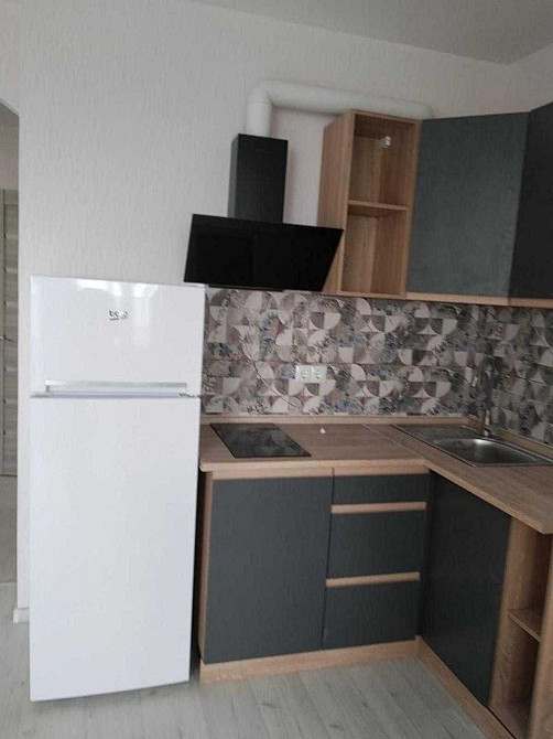 Оренда 1 к кв ЖК Вудлайн Новосілки м Теремки 10 хв Киев - изображение 2