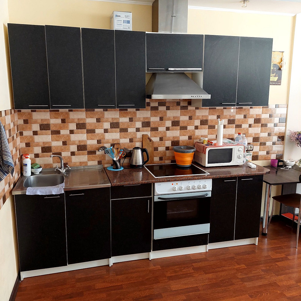 Арена 1 кімнатної квартири Гнідин - зображення 1