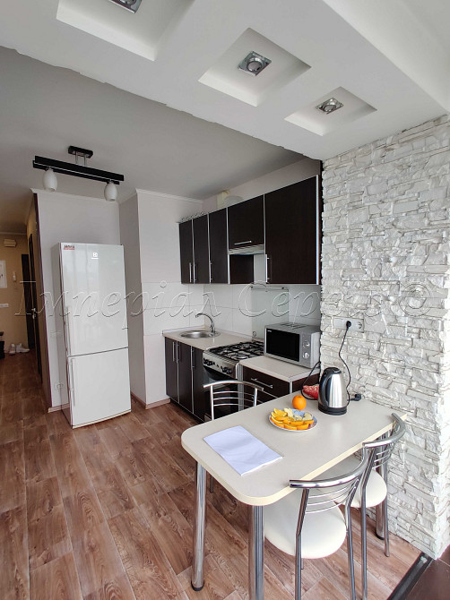 Здам 1 кімнатну  з видом на Дніпро, р-н Набережної(Бул.Шевченка) Запорожье - изображение 8