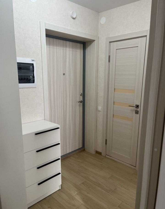 Квартира с диваном на кухне и отдельной спальной комнатой с кроватью Дніпро - зображення 4