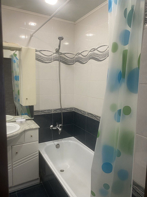 Аренда. 1 ком. квартира в Александровском р-не Запорожье - изображение 5