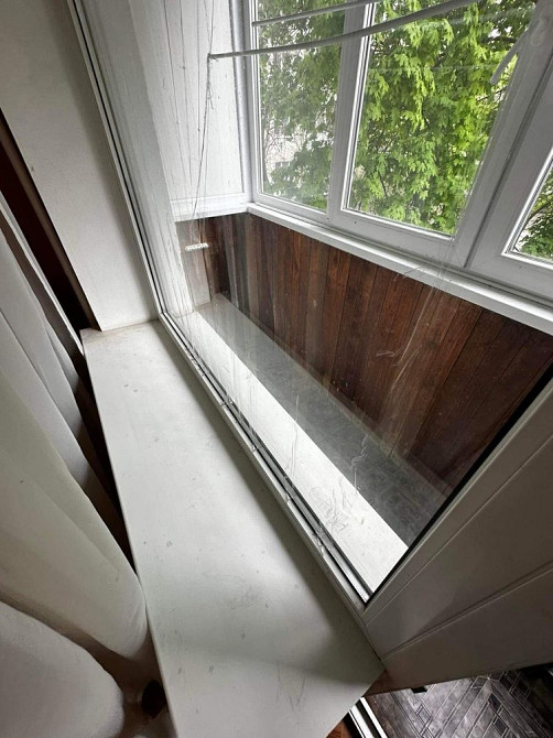 1-К Институт связи, можно животное Полтава - зображення 3